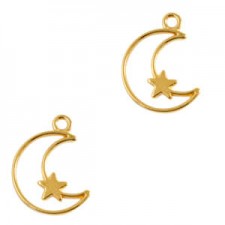 DQ Metal charm moon and star 19x14mm Gold